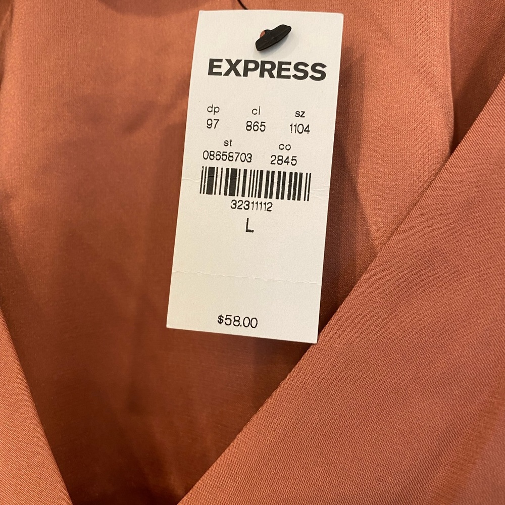 Express Satin V-Neck Long Sleeve Top
